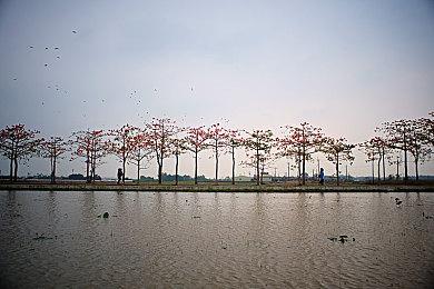 岛屿冒险游戏《Breakwaters》最新水物理演示视频